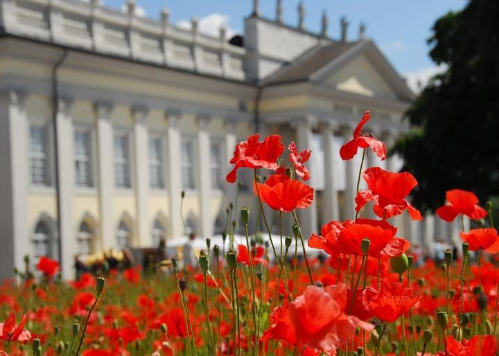 Fridericianum